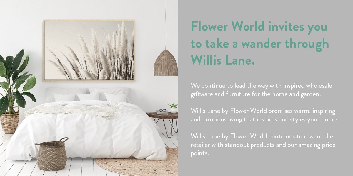 Willis Lane By Flower World